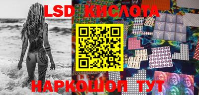 дмт Белореченск