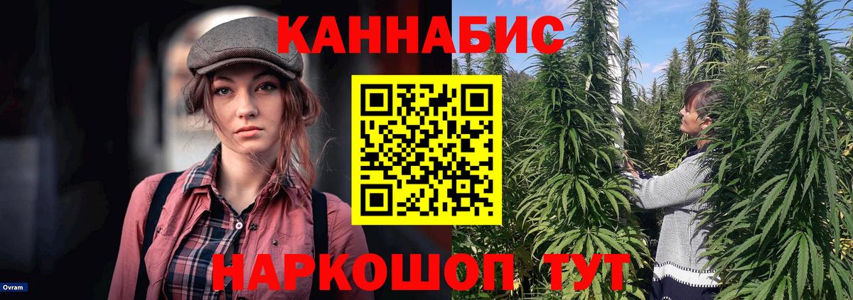 Шишки марихуана AK-47 Великий Устюг